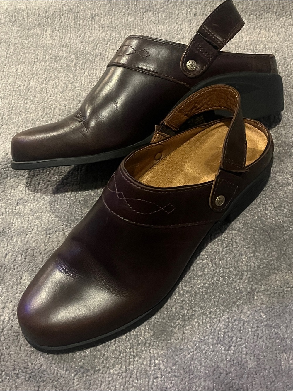 Ariat Mules